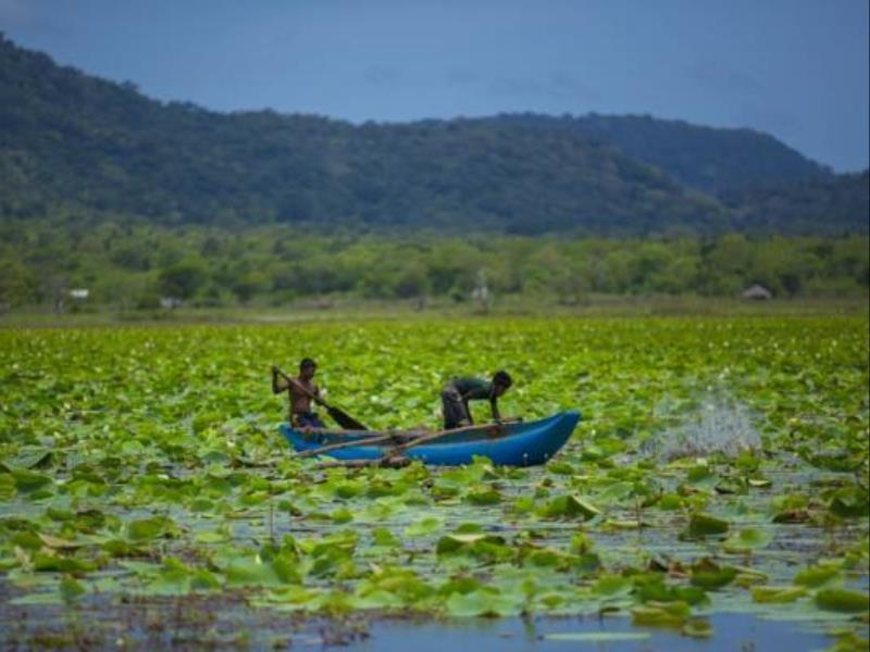 Grand Tamarind Lake Kataragama Zewnętrze zdjęcie